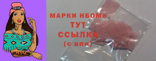 гашик Козловка