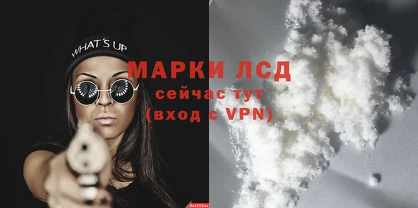 гашик Козловка
