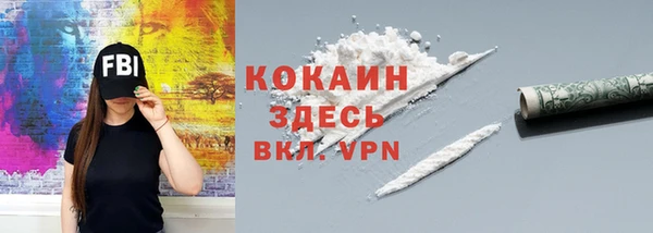 гашик Козловка