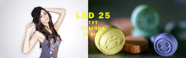 гашик Козловка