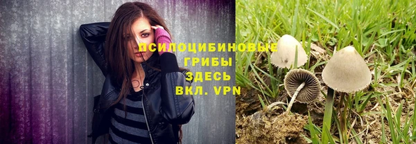 крисы Кинешма