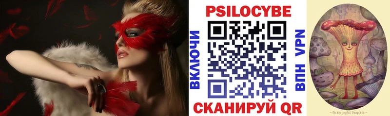 наркошоп  сайты даркнета официальный сайт  Псилоцибиновые грибы Psilocybine cubensis  Кириллов 